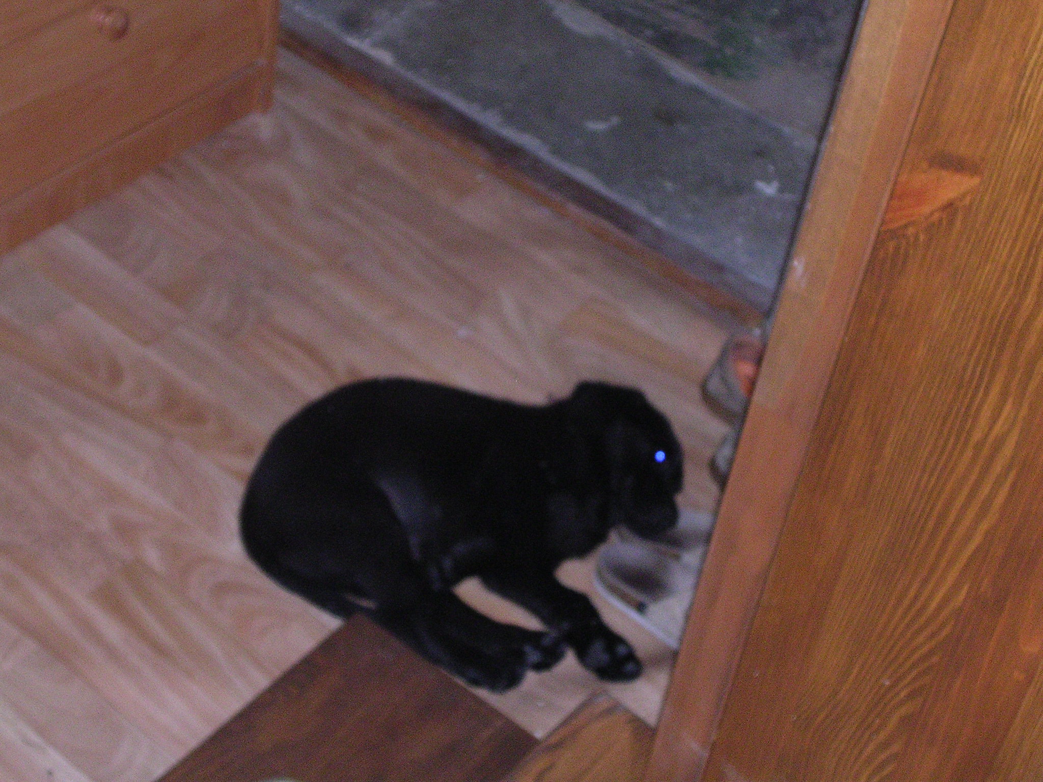Akim, srpen 2006 007