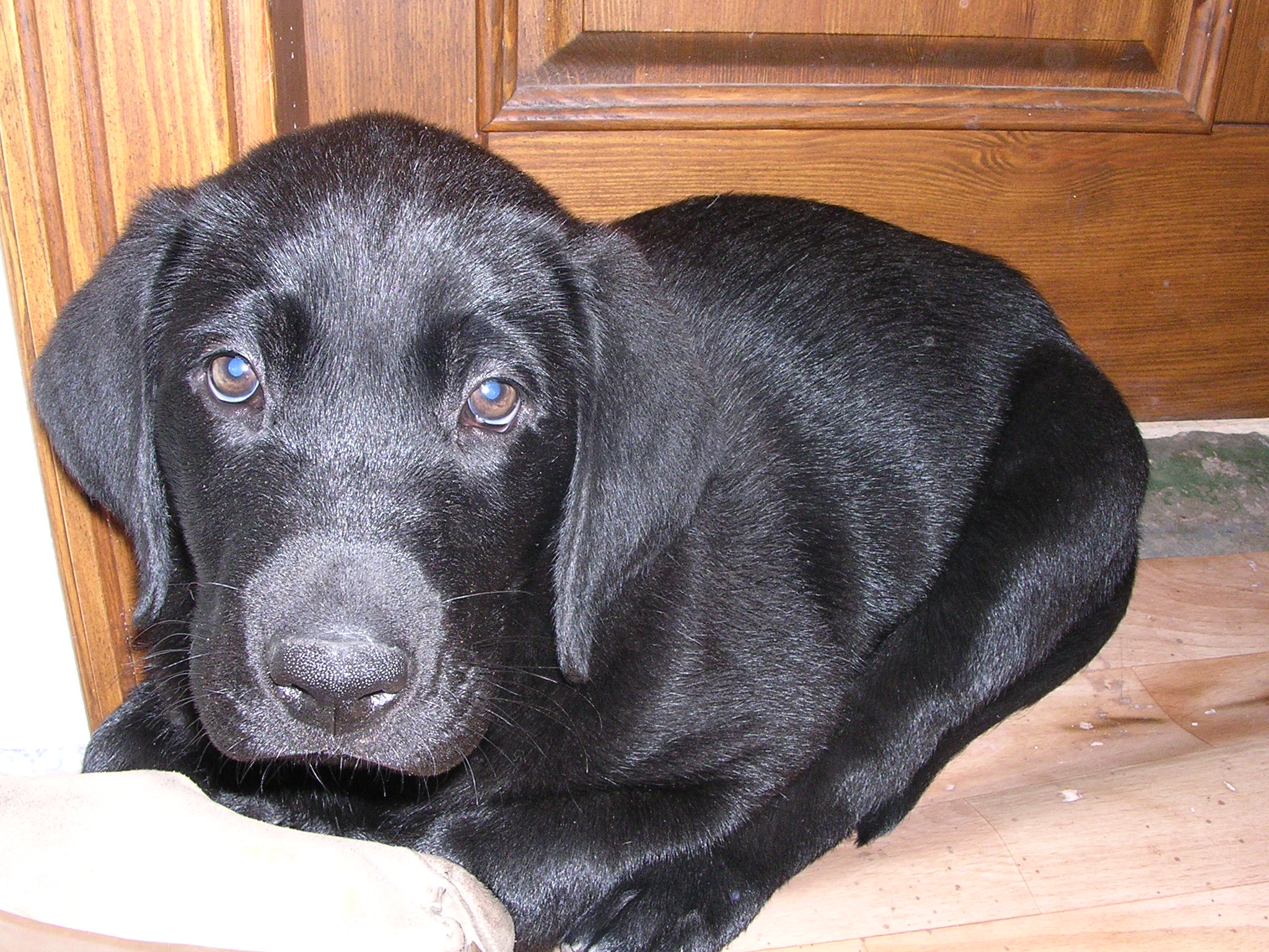 Akim, srpen 2006 028
